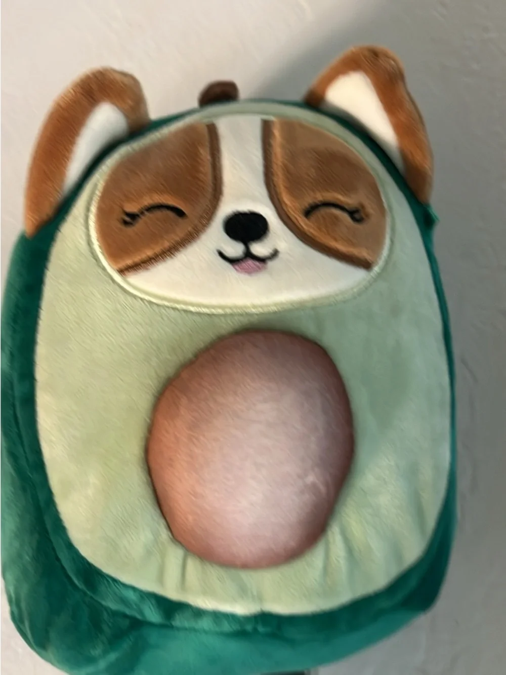 Squishmallows cute regina